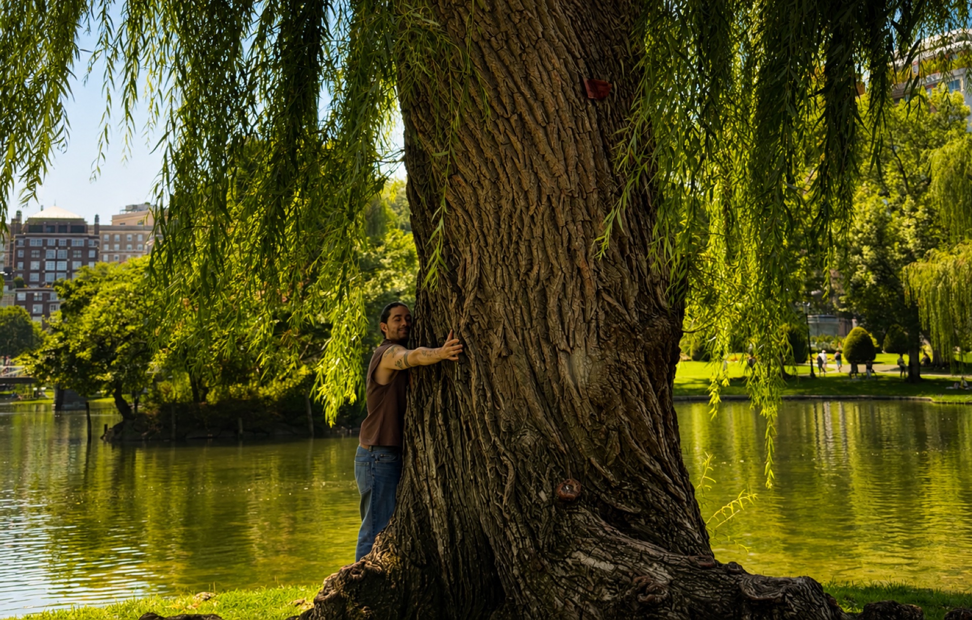 Persona abrazando un árbol junto a un lago — foto real
