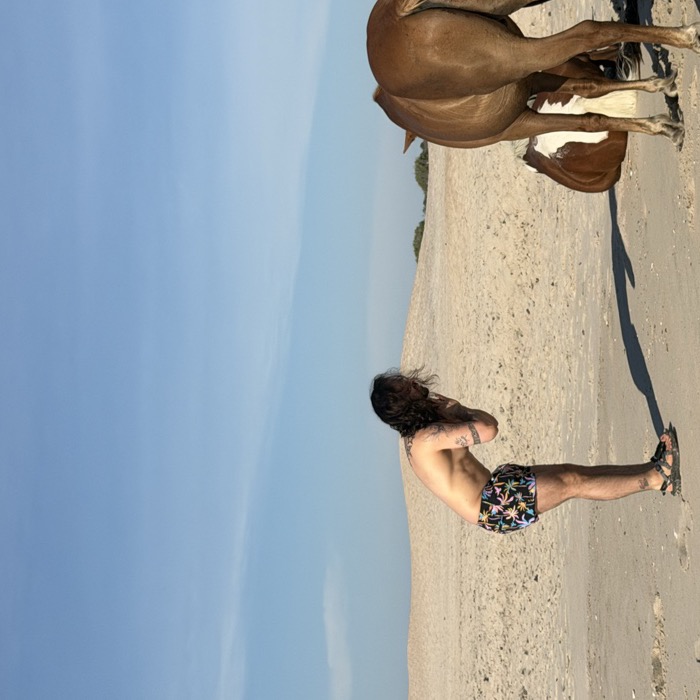 Miguel en reverencia frente a caballos en la playa — foto real