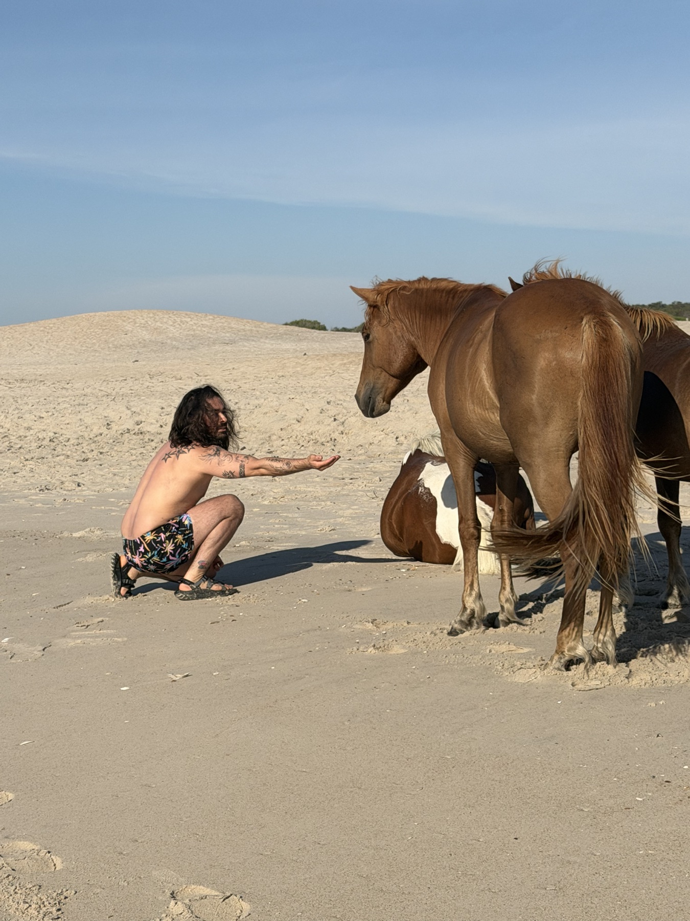 Miguel arrodillado junto a caballos salvajes en la playa — foto real