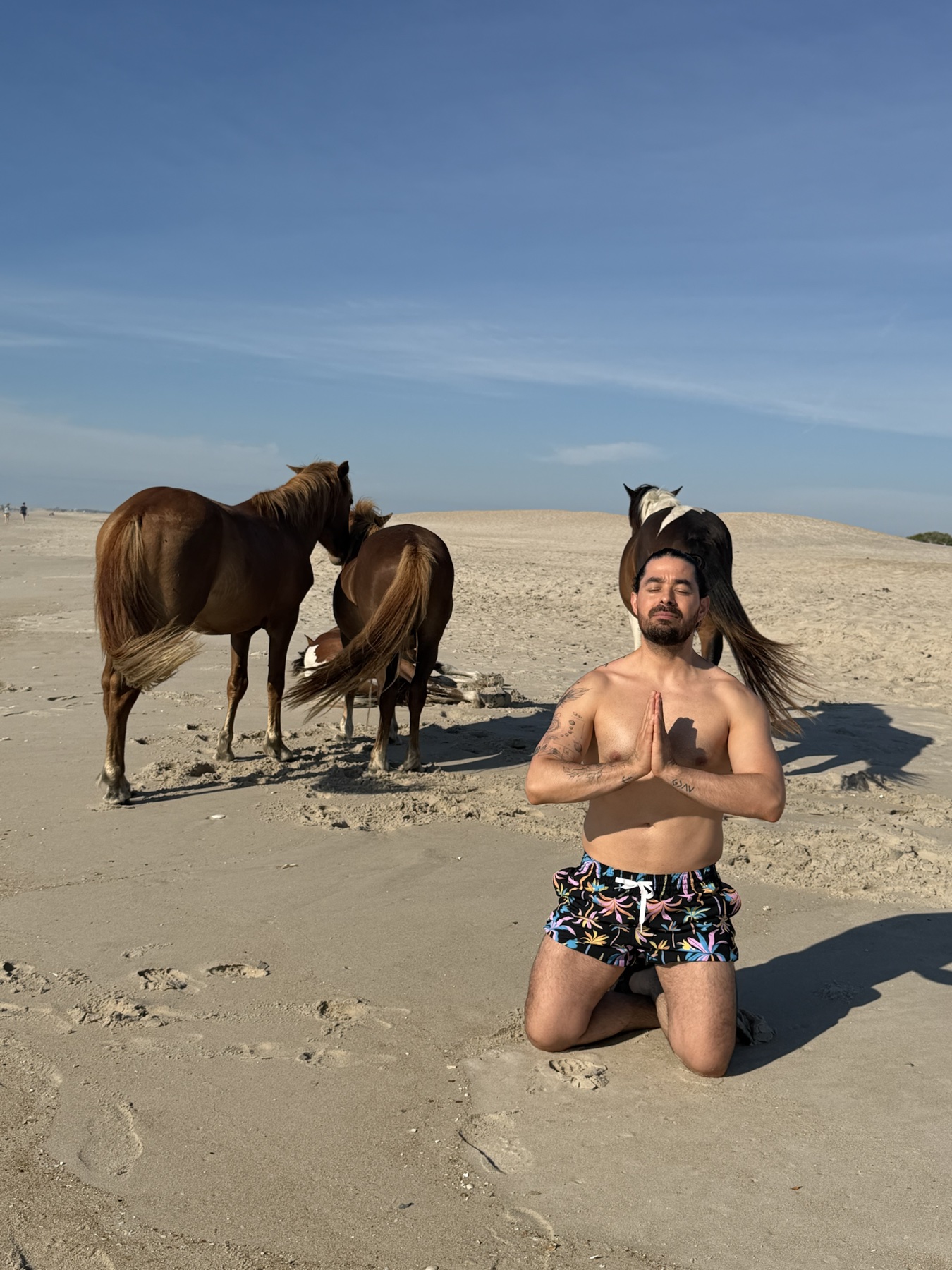 Miguel en postura de meditación en la playa, junto a caballos — foto real